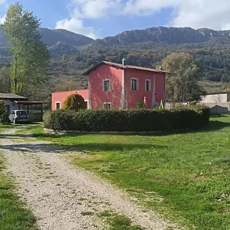 L'orchidea Sante Marie