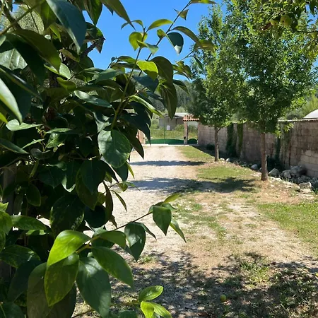 L'orchidea Apartman Sante Marie