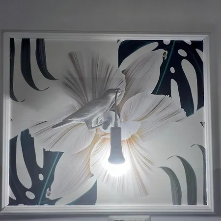 L'orchidea Sante Marie