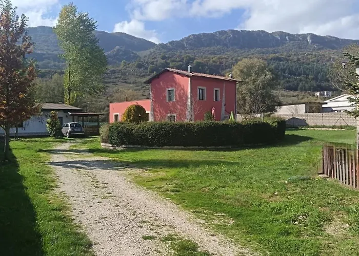 L'orchidea Sante Marie