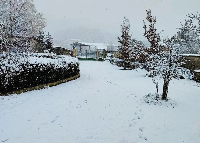 Appartement L'orchidea