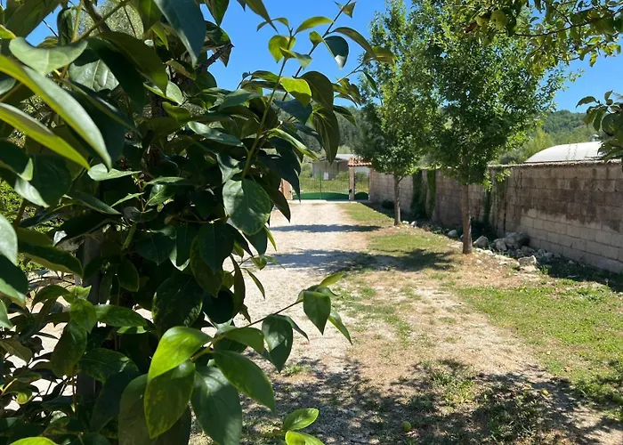 L'orchidea Appartement Sante Marie