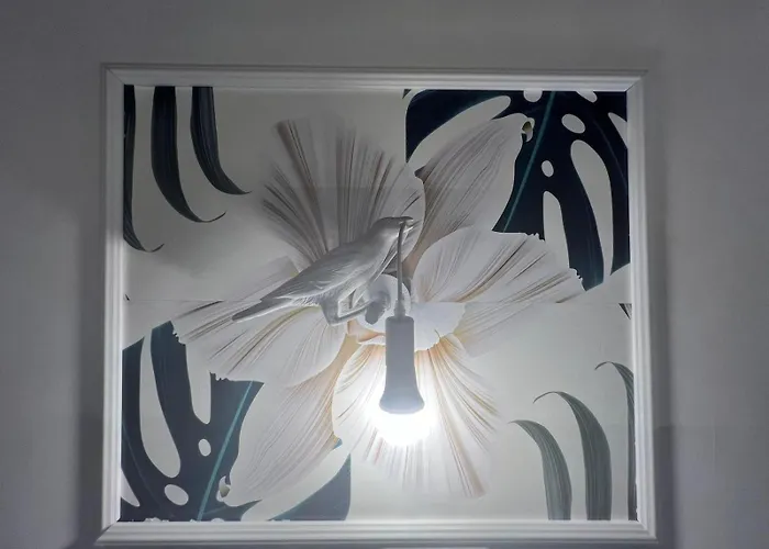 L'orchidea Sante Marie